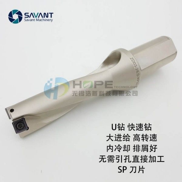 Savantec 2D-5D Forage indexable à haut rendement